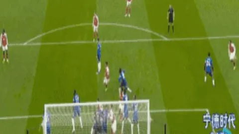 第2026023期 大乐透2026023期专家质合分析推荐汇