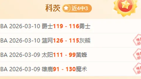 恩佐与马雷斯卡在切尔西未来规划中占据关键位置——罗马诺观点